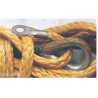 ����������(ǣ����)(D