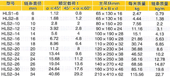 双腿环型链条索具 双腿环型链条索具